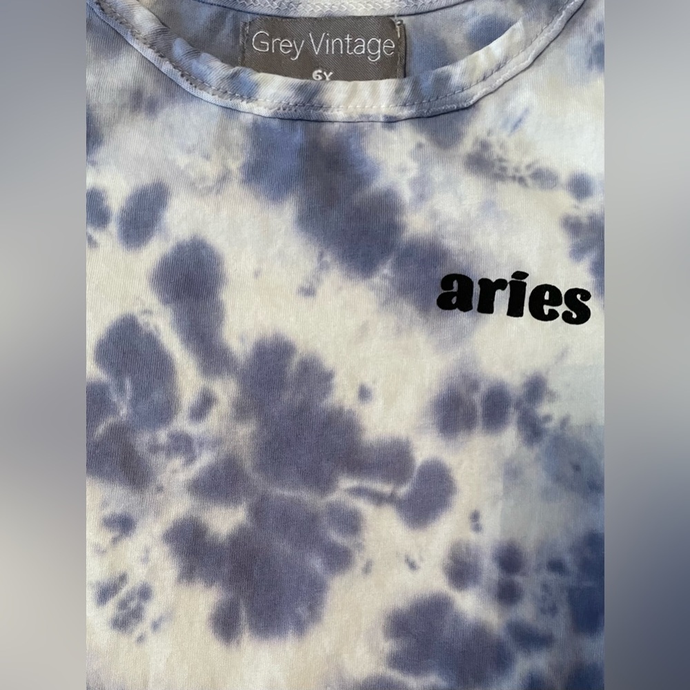 EUC Grey Vintage by Miki Miette “Aries” Tee in Size 6 - Picture 4 of 4